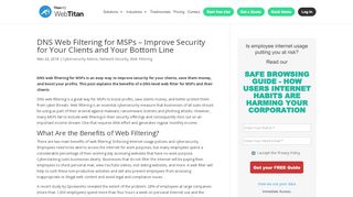 
                            13. DNS Web Filtering for MSPs – Improve Security for Your Clients and ...