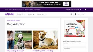 
                            8. Dog Adoption | Petfinder