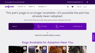 
                            3. Dog for Adoption – Gunny, near Carrollton, TX | Petfinder