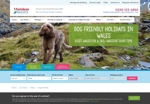 
                            12. Dog Friendly Holidays in Wales | Parkdean Resorts