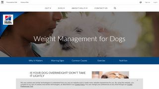 
                            2. Dog Weight Conditions | Hill's Pet