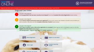 
                            12. Dogs and Cats Online