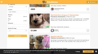 
                            3. Dogs and Puppies for sale in Login | Pets4Homes