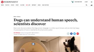 
                            11. Dogs can understand human speech, scientists discover | The ...