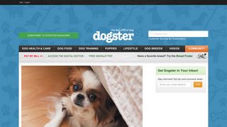 
                            5. Dogster: For the Love of dog