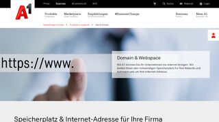
                            3. Domain & Webspace | A1.net
