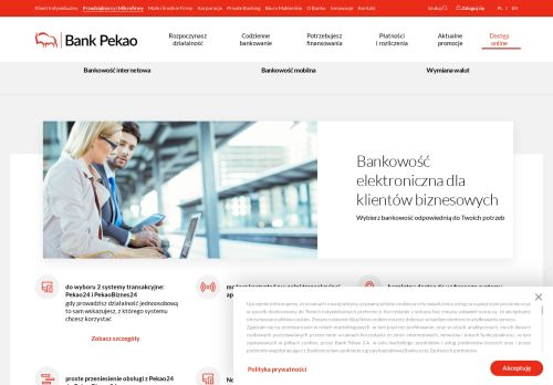 
                            10. Dostęp online - Bank Pekao SA