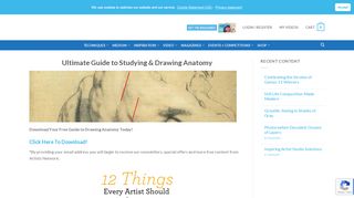 
                            12. Drawing Anatomy for Artists: Ultimate, Free Guide - Artists Network