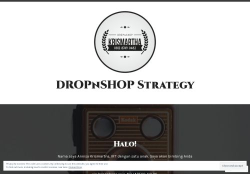 
                            9. DROPnSHOP Strategy