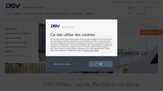 
                            4. DSV Xpress