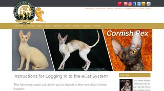 
                            4. E-Cat Login Instructions - The Cat Fanciers' Association