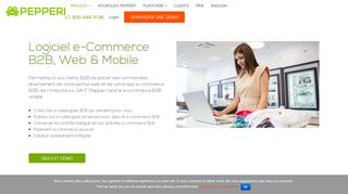 
                            4. E- commerce B2B | Pepperi