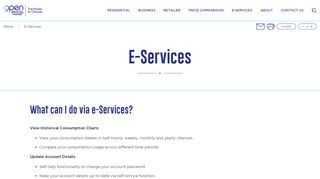 
                            7. E-Services - Open Electricity Market