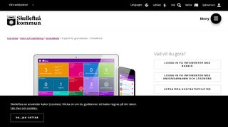 
                            12. E-tjänst grundskola (InfoMentor) - Skellefteå kommun