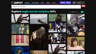 
                            10. Eagle aurum company GIFs - Get the best GIF on GIPHY