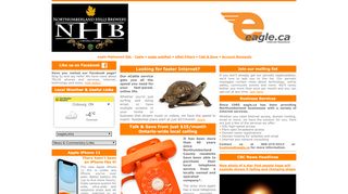 
                            8. EAGLE.CA: Your answer for Internet business solutions, highspeed ...