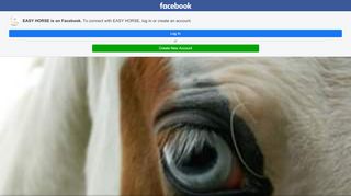 
                            8. EASY HORSE - Home | Facebook