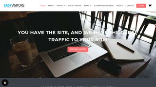 
                            8. Easy Visitors | Buy Website Traffic and Cheap Targeted Traffic