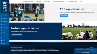 
                            5. ECB Vacancies - England and Wales Cricket Board (ECB) - The ...