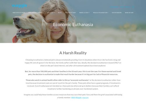 
                            8. Economic Euthanasia of Pets | Dog Euthanasia | Vet Bill Assistance