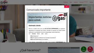 
                            3. EGAS