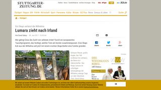
                            7. Ein Okapi verlässt die Wilhelma: Lumara zieht nach Irland - Stuttgart ...