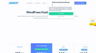 
                            13. Einzel-Tarife für WordPress-Hosting « RAIDBOXES