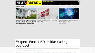 
                            4. Ekspert: Fætter BR er ikke død og begravet - Newsbreak.dk