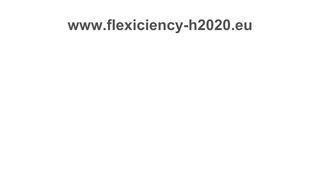
                            7. Enel Energia - Flexiciency