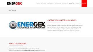 
                            5. ENERGEX | Empresas - grupo energeticos