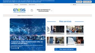 
                            3. Entreprise et Professionnel | Enedis