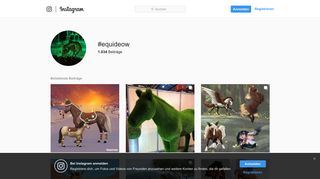 
                            11. #equideow hashtag on Instagram • Photos and Videos