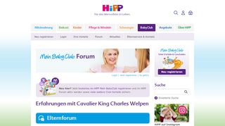 
                            9. Erfahrungen mit Cavalier King Charles Welpen - HiPP Baby- und ...