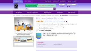 
                            9. ERK 1 Antibody (K-23) | SCBT - Santa Cruz Biotechnology