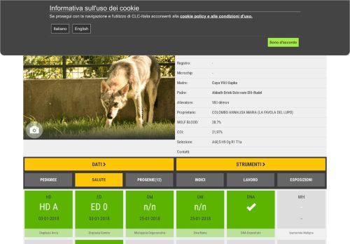 
                            12. Ermione Vlčí démon - CLC-ITALIA.it - Database per il CANE da LUPO ...