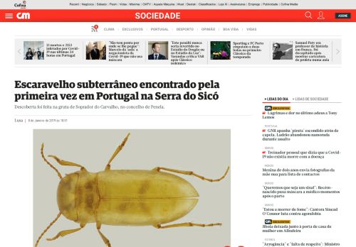 
                            10. Escaravelho subterrâneo encontrado pela primeira vez em Portugal ...