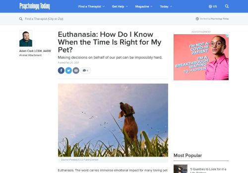 
                            6. Euthanasia: How Do I Know When the Time Is Right for My Pet ...