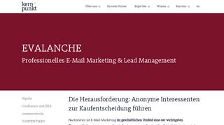 
                            6. EVALANCHE E-Mail-Marketing und Lead Management - Kernpunkt