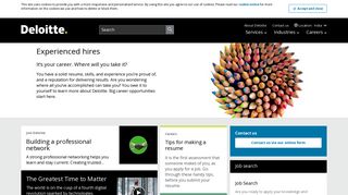 
                            2. Experienced Hires | Deloitte | Career | Topic page