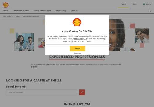 
                            4. Experienced Professionals | Shell Nigeria