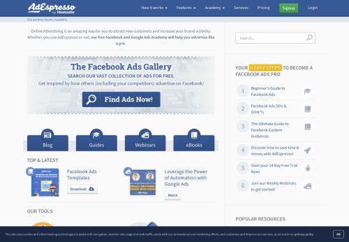 
                            12. Facebook & Google Ads Academy - AdEspresso