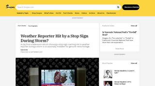 
                            5. FACT CHECK: Weather Reporter Hit by a Stop Sign During Storm?