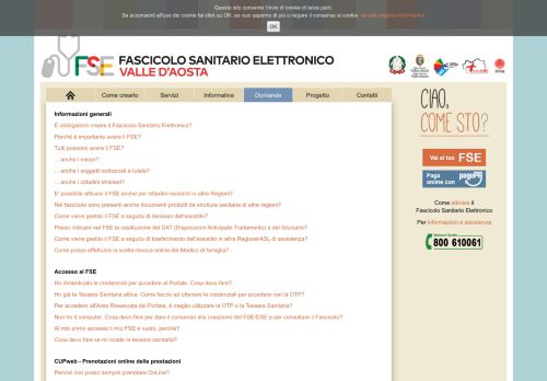 
                            3. faq - Fascicolo Sanitario Elettronico