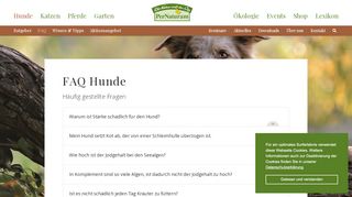 
                            10. FAQ Hunde — PerNaturam