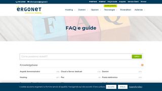
                            9. FAQs e Guide - Hosting Ergonet