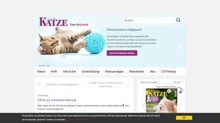 
                            12. FAQs zur Katzenernährung | GELIEBTE KATZE Magazin