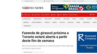 
                            11. Fazenda de girassol próxima a Toronto estará aberta a partir deste fim ...