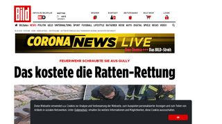 
                            10. Feuerwehr schraubte sie aus Gully Das kostete die Ratten ... - Bild.de