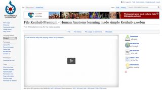 
                            5. File:Kenhub Premium - Human Anatomy learning made simple ...