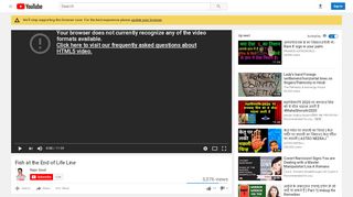 
                            6. Fish at the End of Life Line - YouTube
